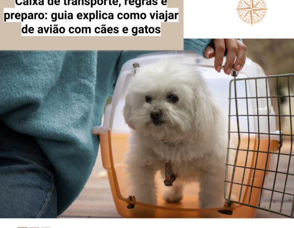 Caixa de transporte, regras e preparo: guia explica como viajar de avião com cães e gatos